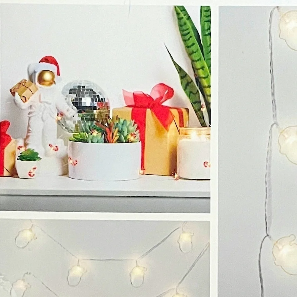 🌺 West & Arrow Christmas Santa Metallic Warm Light LED String Lights NEW
